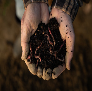 225016752-close-up-of-farmer-hands-holding-soil-with-worms-in-it